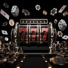 zee555